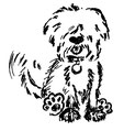 Hundesalon Erfurt 
